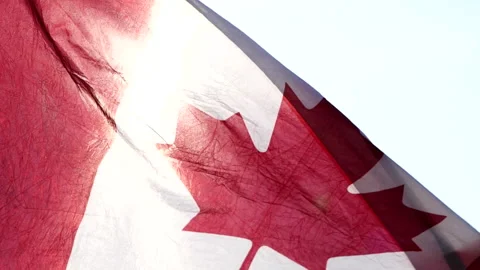 Canada flag waving the wind against the sun in nature background Stock Footage 166569016