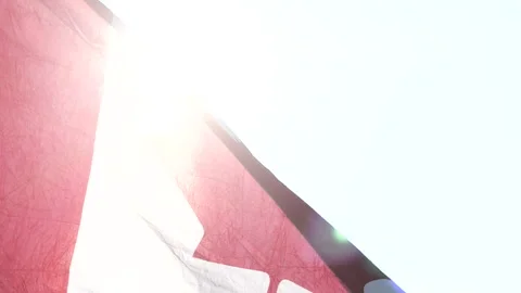 Canada flag waving the wind against the sun in nature background Stock Footage 166569017