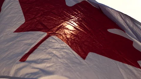 Canada flag waving the wind against sunset in nature background Stock Footage 166910539