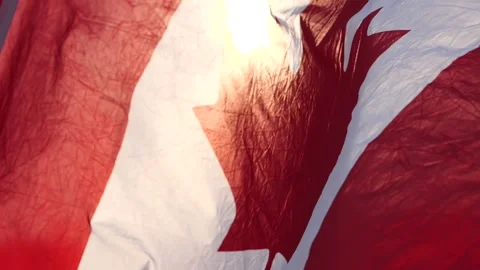 Canada flag waving the wind against sunset in nature background Stock Footage 166910790