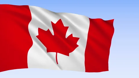Canada flag waving in the wind animation Stock Footage 171558320