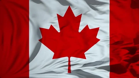 Canada flag waving in the wind Animation Stock Footage 309349863