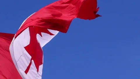 Canada flag waving at wind Stock Footage 111073637
