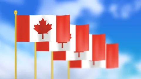 Canada flag waving in the wind Stock Footage 199911678