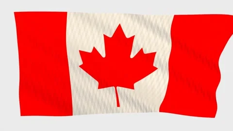 Canada flag waving in the wind on a grey background Stock Footage 343216197