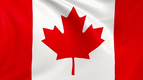 Canada  flag waving in the wind with high quality texture in 4K Vídeo Stock 130431058