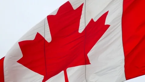 Canada Flag in Wind in Slow Motion Video stock 108272375