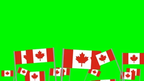 Canada flaga on green screen Stock Footage 199911539