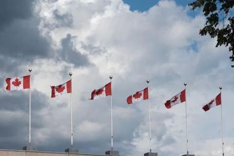 Canada flags Stock Photos