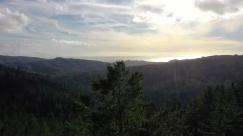 Canada Forest 4K  動画素材 148245886