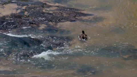 Canada goose flaps its wings in river Video stock 246772829