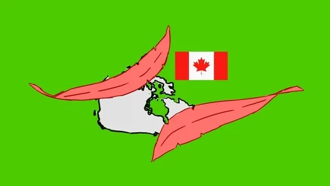 Canada - Hand-Drawn Animation - feather red Stock Footage 97980981