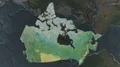 Canada - hub of the world. Topographic 4k or 4k+ Resolution