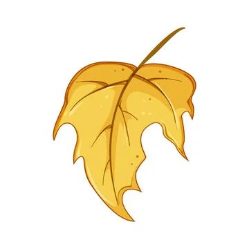 Canada maple leaf cartoon vector illustration 库存插图