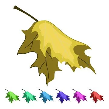 Canada maple leaf vector cartoon graphic イラスト素材