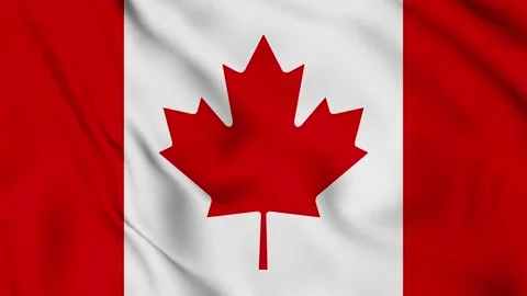Canada national flag waving full screen animated background Stock Footage 314841961