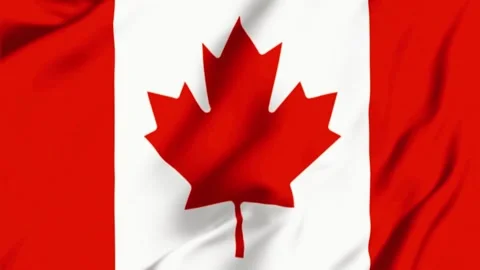 Canada national flag waving in wind isolated on solid white background. Video stock 342752691