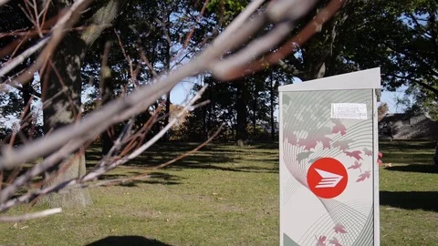 Canada Post mailbox in nature Stock Footage 74070289