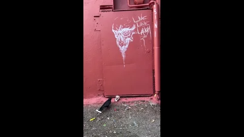 Canada: Rat and crow share food after brief tussle in Vancouver, Canada Stock Footage 333658932