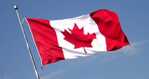 Canada red maple leaf national country flag blows in the wind Видео 287485577