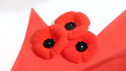 Canada Remembrance Day Flag and Red Poppy Pin Symbols, War Memorial Freedom Video stock 127969352