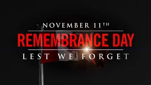 Canada Remembrance Day, Lest We Forget November 11th Red Poppy Flower Memorial Video stock 95765416