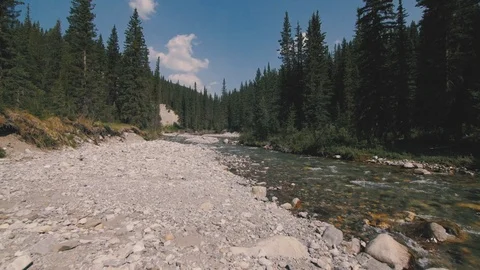 Canada River and Trees - Banf National Park Video stock 88284601