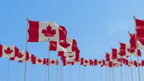 Canada Row Of Flags 3D Animation Stock Footage 148640062