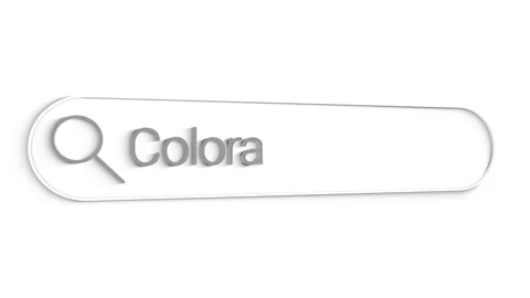 Canada Search Bar Close Up Single Line Typing Text Box Layout Web Database Stock Footage 151554027