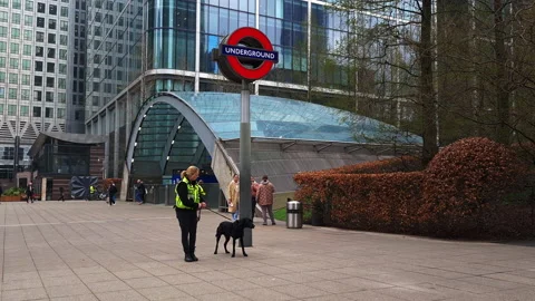 Canada Square. Stock Footage 173454825