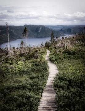 Canada Trail 写真素材