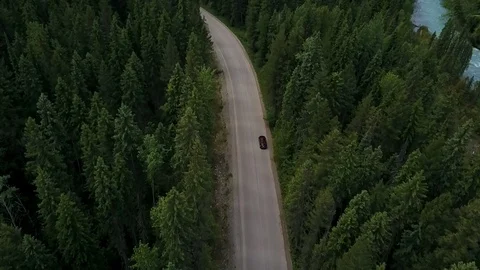 Canada trees Video stock 90235976