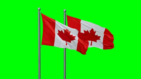 Canada two flags Stock Footage 289636946