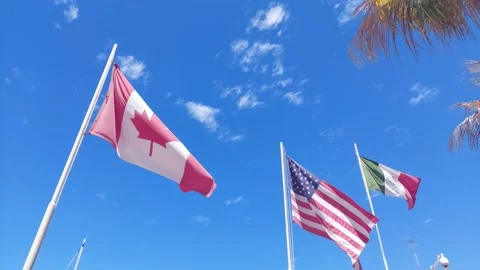 Canada, USA, Mex flags blowing in the wind Stock Footage 173581653