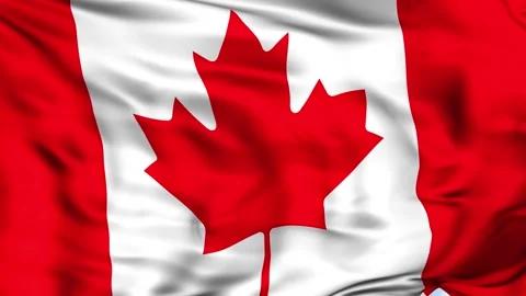 Canada Waving Flag Background Video stock 204132406