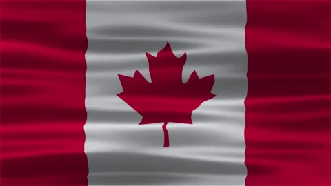 Canada waving flag Stock Footage 312484800