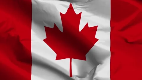 Canada waving flag – realistic cloth animation Stock Footage 292446524