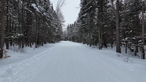 Canada winter snow scene Stock Footage 301646470