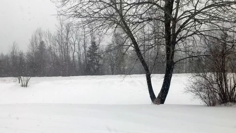 Canada Winter Storm 動画素材 125681349
