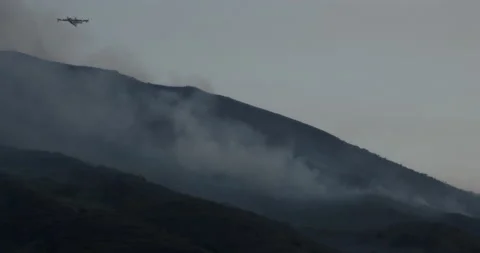 A Canadair is dropping water on a fire Stock Footage 160368266