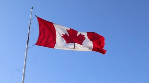 Canada’s Maple Leaf National Flag blowing in wind blue sky Stock Footage 126087923