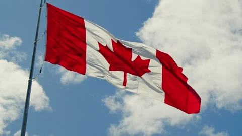 Canada's Symbol Waving in the Wind Stock Footage 280238479