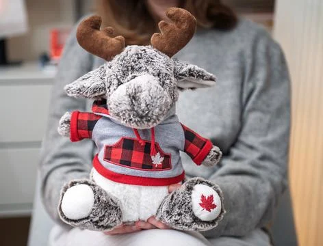 Canadcdian Moose Plush with Maple Leaf Foto stock