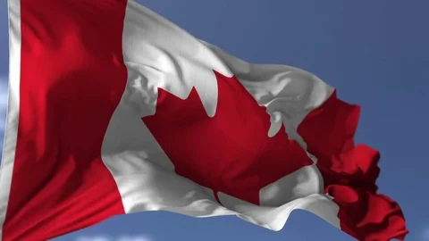 Canadian Blowing Flag Stock-Footage 76015028