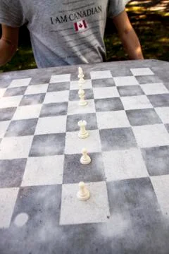 A Canadian at a chess table Stock Photos