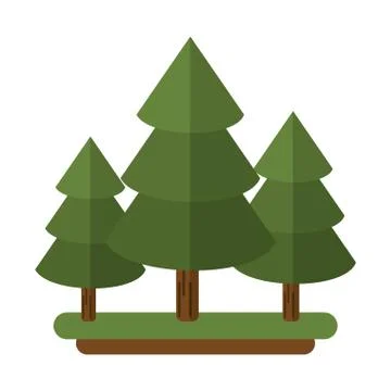 Canadian evergreen tree pine Stock Illustration