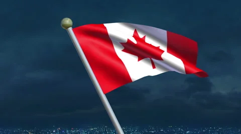 Canadian Flag Animation 動画素材 40269042