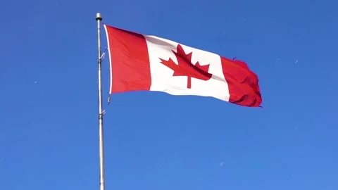 Canadian flag blowing in the wind with clear blue sky and snow flakes; 스톡 동영상 153003003