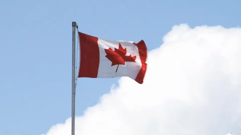 Canadian Flag blowing in the wind 스톡 동영상 35699212