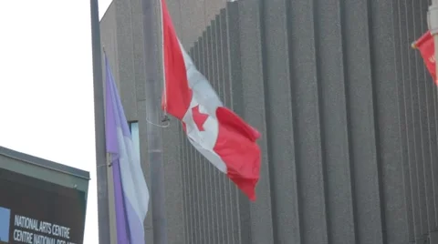 Canadian Flag blowing in the wind Stock-Footage 42974506